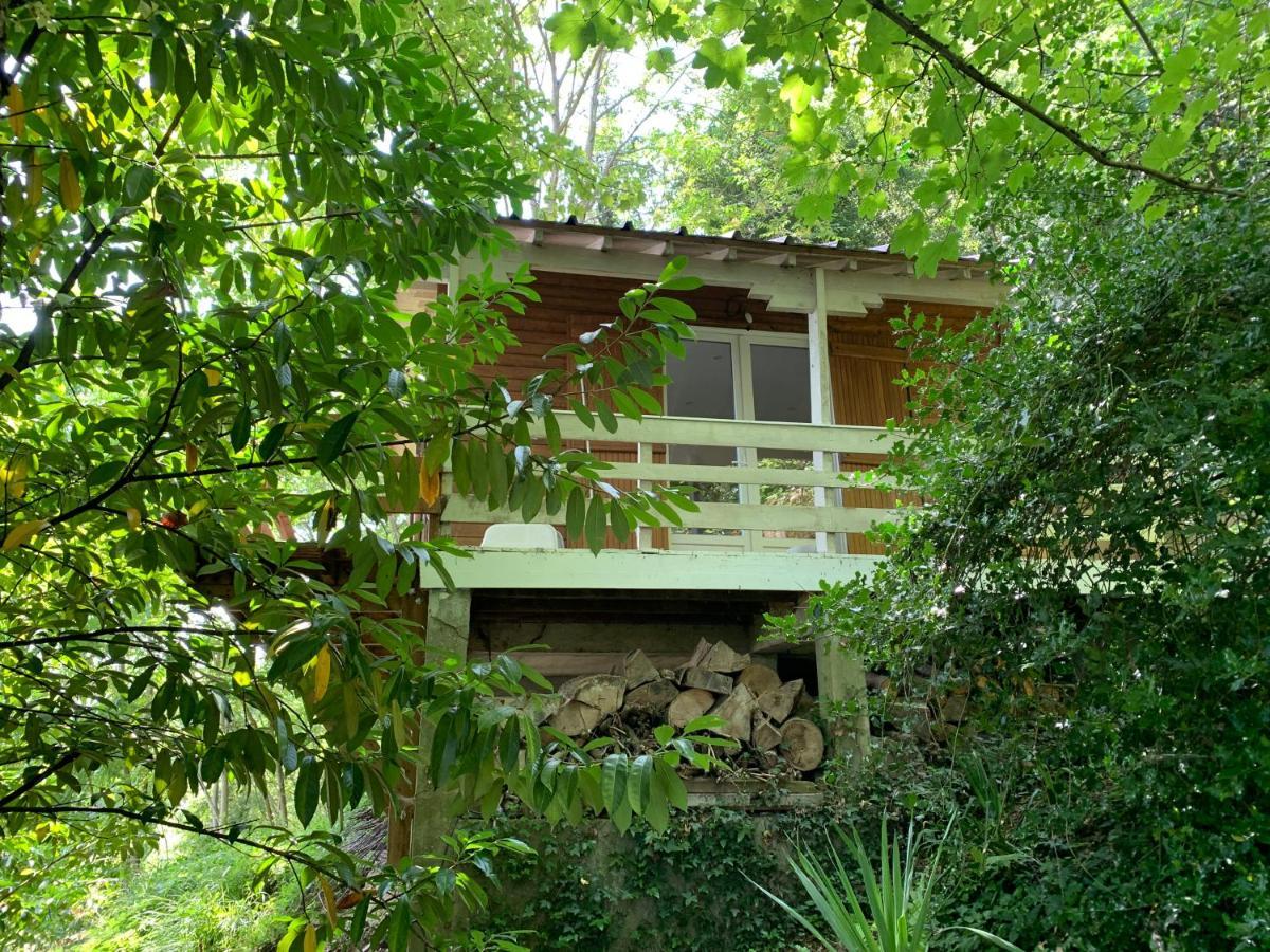 Villa Chalet en bord de Seine Le Coudray-Montceaux Exterior foto